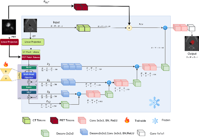 Figure 1 for PEMMA: Parameter-Efficient Multi-Modal Adaptation for Medical Image Segmentation