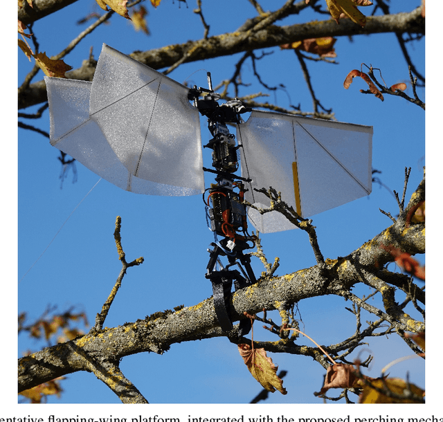 Figure 1 for Repeatable Energy-Efficient Perching for Flapping-Wing Robots Using Soft Grippers