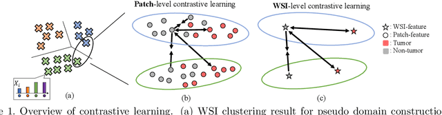 Figure 1 for Domain Generalization of Pathological Image Segmentation by Patch-Level and WSI-Level Contrastive Learning