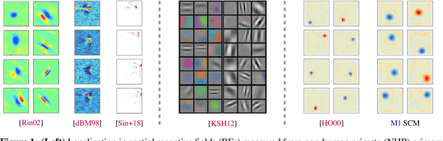 Figure 1 for Nonlinear dynamics of localization in neural receptive fields