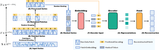 Figure 3 for Enhancing Masked Time-Series Modeling via Dropping Patches