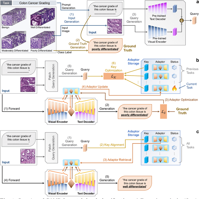Figure 1 for CAMP: Continuous and Adaptive Learning Model in Pathology