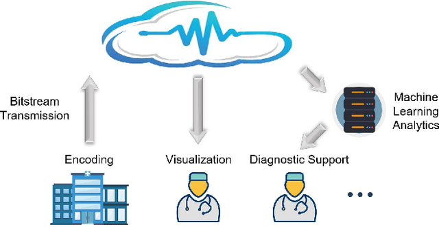 Figure 1 for Versatile Volumetric Medical Image Coding for Human-Machine Vision