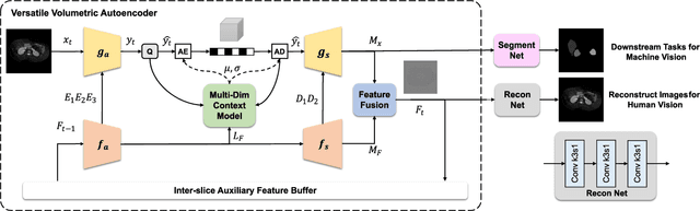 Figure 3 for Versatile Volumetric Medical Image Coding for Human-Machine Vision