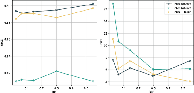 Figure 2 for Versatile Volumetric Medical Image Coding for Human-Machine Vision