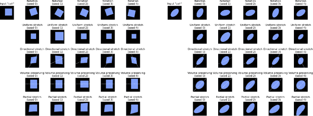 Figure 3 for DiffKillR: Killing and Recreating Diffeomorphisms for Cell Annotation in Dense Microscopy Images