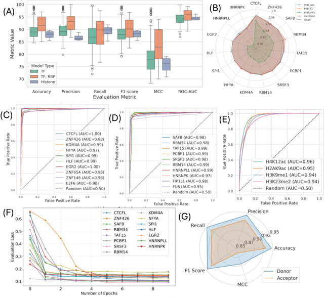 Figure 3 for DeepVRegulome: DNABERT-based deep-learning framework for predicting the functional impact of short genomic variants on the human regulome