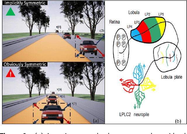 Figure 2 for OppLoD: the Opponency based Looming Detector, Model Extension of Looming Sensitivity from LGMD to LPLC2
