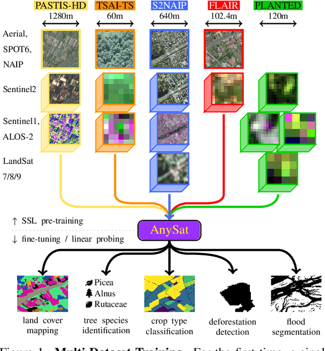 Figure 1 for AnySat: An Earth Observation Model for Any Resolutions, Scales, and Modalities