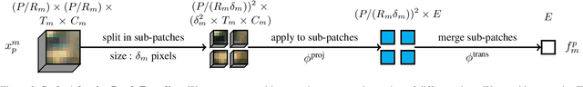 Figure 3 for AnySat: An Earth Observation Model for Any Resolutions, Scales, and Modalities