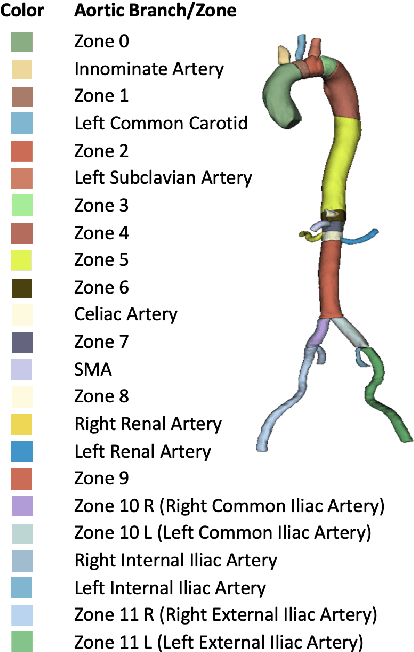 Figure 1 for Multi-Class Segmentation of Aortic Branches and Zones in Computed Tomography Angiography: The AortaSeg24 Challenge