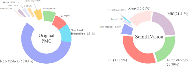 Figure 3 for SemiHVision: Enhancing Medical Multimodal Models with a Semi-Human Annotated Dataset and Fine-Tuned Instruction Generation