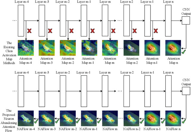 Figure 1 for Neuron Abandoning Attention Flow: Visual Explanation of Dynamics inside CNN Models