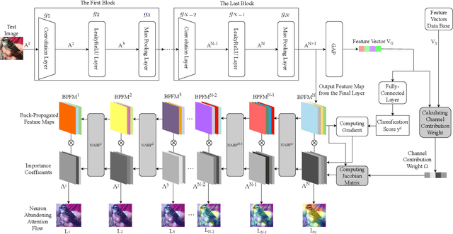 Figure 2 for Neuron Abandoning Attention Flow: Visual Explanation of Dynamics inside CNN Models