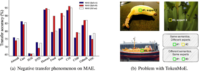 Figure 1 for Task-customized Masked AutoEncoder via Mixture of Cluster-conditional Experts