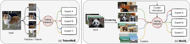 Figure 3 for Task-customized Masked AutoEncoder via Mixture of Cluster-conditional Experts