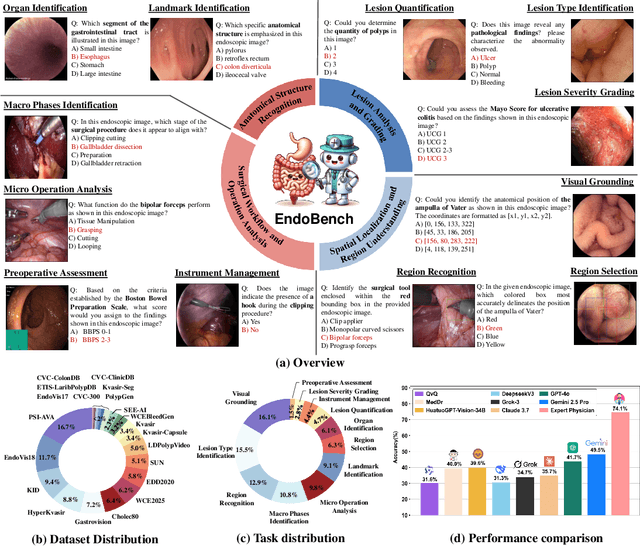 Figure 2 for A Comprehensive Evaluation of Multi-Modal Large Language Models for Endoscopy Analysis