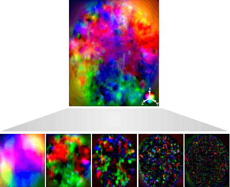 Figure 3 for Unsupervised Segmentation of Fetal Brain MRI using Deep Learning Cascaded Registration