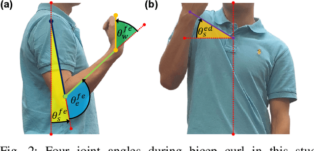 Figure 2 for Analysis of Fatigue-Induced Compensatory Movements in Bicep Curls: Gaining Insights for the Deployment of Wearable Sensors