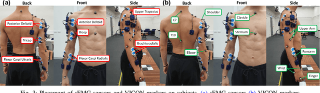 Figure 3 for Analysis of Fatigue-Induced Compensatory Movements in Bicep Curls: Gaining Insights for the Deployment of Wearable Sensors