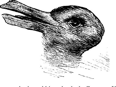 Figure 1 for Do you see what I see? An Ambiguous Optical Illusion Dataset exposing limitations of Explainable AI