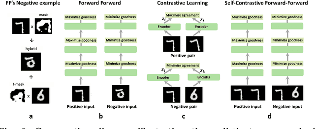 Figure 3 for Self-Contrastive Forward-Forward Algorithm