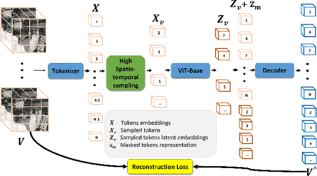 Figure 1 for SurgMAE: Masked Autoencoders for Long Surgical Video Analysis