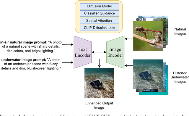 Figure 1 for Underwater Diffusion Attention Network with Contrastive Language-Image Joint Learning for Underwater Image Enhancement