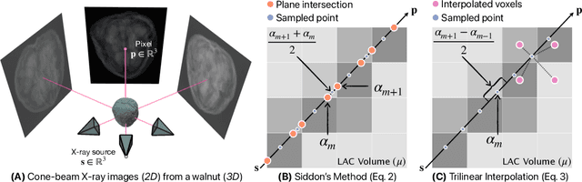 Figure 1 for Differentiable Voxel-based X-ray Rendering Improves Sparse-View 3D CBCT Reconstruction