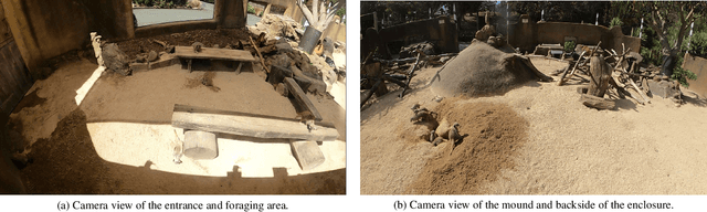 Figure 1 for Meerkat Behaviour Recognition Dataset