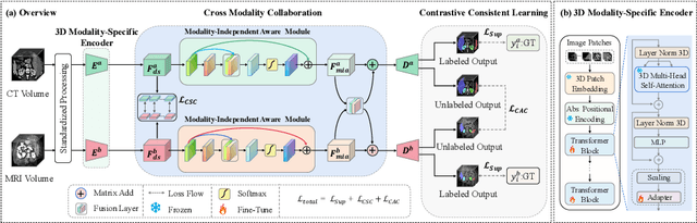 Figure 1 for Robust Semi-supervised Multimodal Medical Image Segmentation via Cross Modality Collaboration