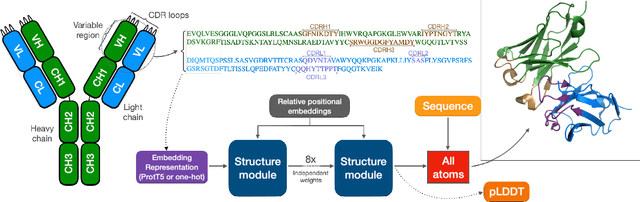 Figure 1 for ABodyBuilder3: Improved and scalable antibody structure predictions