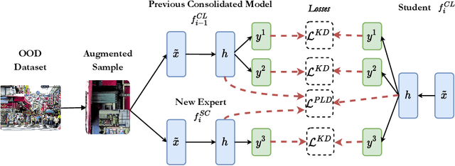 Figure 3 for Projected Latent Distillation for Data-Agnostic Consolidation in Distributed Continual Learning