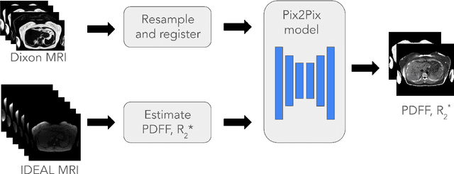 Figure 1 for Synthesizing Proton-Density Fat Fraction and $R_2^*$ from 2-point Dixon MRI with Generative Machine Learning