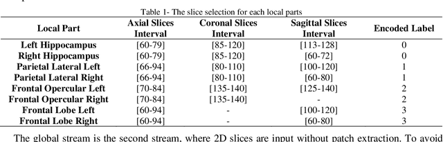 Figure 2 for Brain Age Estimation with a Greedy Dual-Stream Model for Limited Datasets