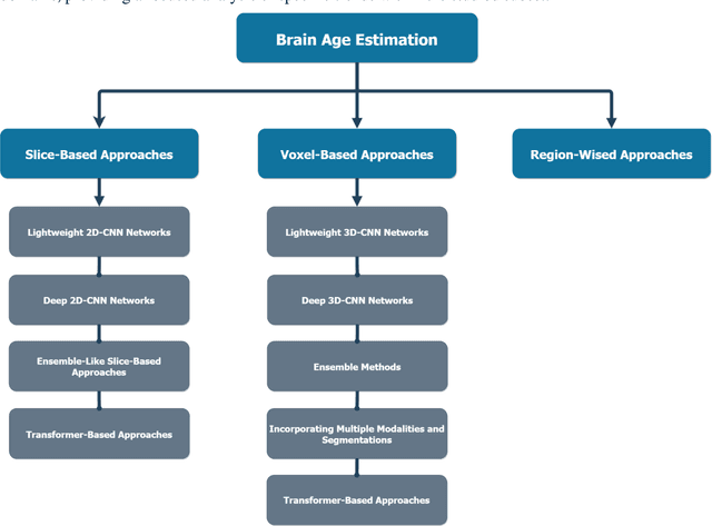 Figure 1 for Brain Age Estimation with a Greedy Dual-Stream Model for Limited Datasets