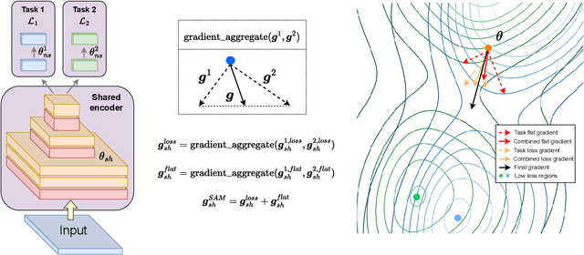 Figure 1 for Improving Multi-task Learning via Seeking Task-based Flat Regions
