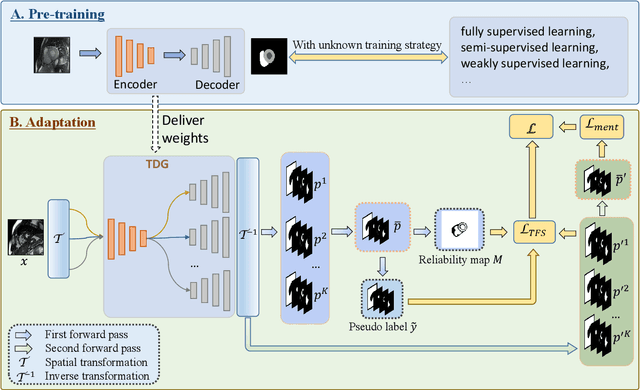 Figure 1 for UPL-SFDA: Uncertainty-aware Pseudo Label Guided Source-Free Domain Adaptation for Medical Image Segmentation