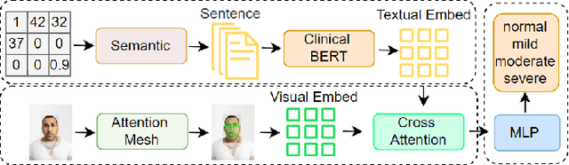 Figure 2 for An Attentive Dual-Encoder Framework Leveraging Multimodal Visual and Semantic Information for Automatic OSAHS Diagnosis