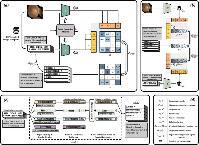 Figure 2 for ViLReF: A Chinese Vision-Language Retinal Foundation Model