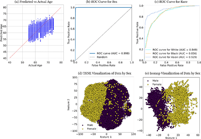 Figure 2 for Demographic Predictability in 3D CT Foundation Embeddings