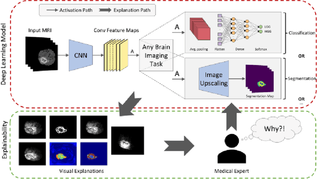 Figure 1 for The Limits of Perception: Analyzing Inconsistencies in Saliency Maps in XAI