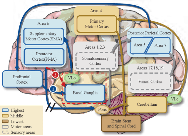 Figure 1 for A Neuro-Inspired Hierarchical Reinforcement Learning for Motor Control