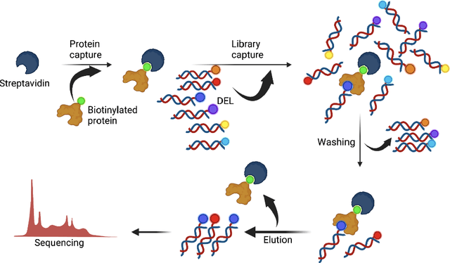 Figure 3 for KinDEL: DNA-Encoded Library Dataset for Kinase Inhibitors