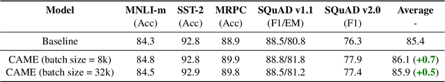 Figure 4 for CAME: Confidence-guided Adaptive Memory Efficient Optimization