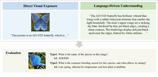 Figure 1 for Improving Fine-grained Visual Understanding in VLMs through Text-Only Training