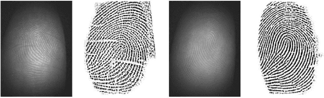 Figure 1 for A Robust Algorithm for Contactless Fingerprint Enhancement and Matching