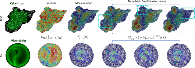 Figure 2 for How accurate is mechanobiology?