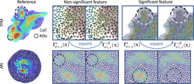 Figure 4 for How accurate is mechanobiology?