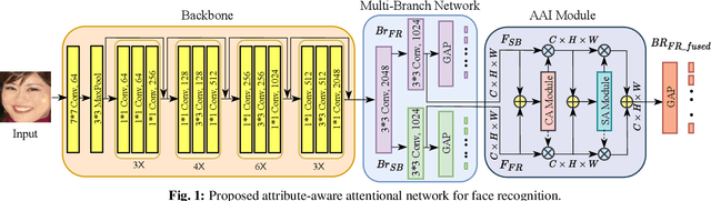 Figure 1 for AAFACE: Attribute-aware Attentional Network for Face Recognition